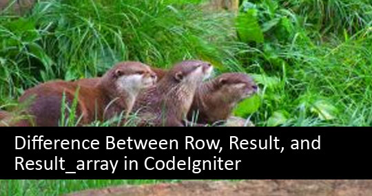 Difference Between Row, Result, and Result_array in CodeIgniter
